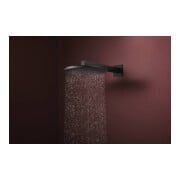 hansgrohe Douche de tête Raindance Alive S 2jets, EcoSmart, Pression min. 1,2 bar, noir mat-4