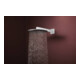 hansgrohe Douche de tête Raindance Alive S 2jets, pression min. 0,9, blanc mat