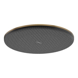 hansgrohe Douche de tête Raindance Alive S 300 mm, Eco, Pression min. 1 b, bronze brossé