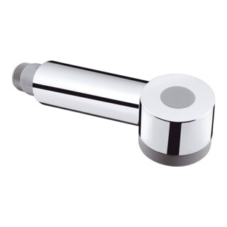 hansgrohe Douchette extractible Talis S aspect acier inoxydable