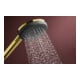 hansgrohe Douchette Raindance Alive Sel. S 125 mm, 3 jets, optique or poli
