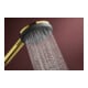 hansgrohe Douchette Raindance Alive Sel. S 125 mm, 3 jets, optique or poli