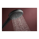 hansgrohe Douchette Raindance Alive Sel. S 125mm, 3 jets, noir mat