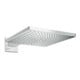 hansgrohe Douchette Raindance E 300 EcoSmart 390 mm, 1 jet, 9 l/min, chrome