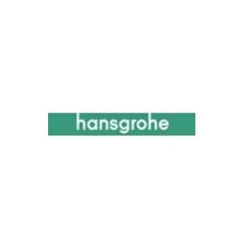 hansgrohe écrou de serrage DN20