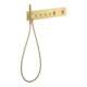 hansgrohe Fertigset ShowerComposition UP-THM, 4 Verbr., brushed gold optic-1