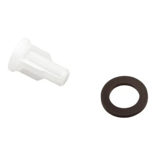 hansgrohe Filtre et anneau de tuyau Raindance