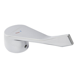 hansgrohe Griff Focus Care 100 chrom