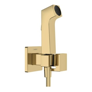 hansgrohe Handbrause Bidette E f.Kaltwasser m. Schlauch 1250mm und Porter PGO