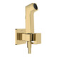 hansgrohe Handbrause Bidette E f.Kaltwasser m. Schlauch 1250mm und Porter PGO-1