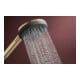 hansgrohe Handbrause Raindance Alive Sel. S 125mm Brausekopf, 3jet, brushed bronze