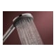 hansgrohe Handbrause Raindance Alive Sel. S 125mm Brausekopf, 3jet, chrom