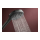 hansgrohe Handbrause Raindance Alive Sel. S 125mm Kopf, 3jet, brushed black chrome