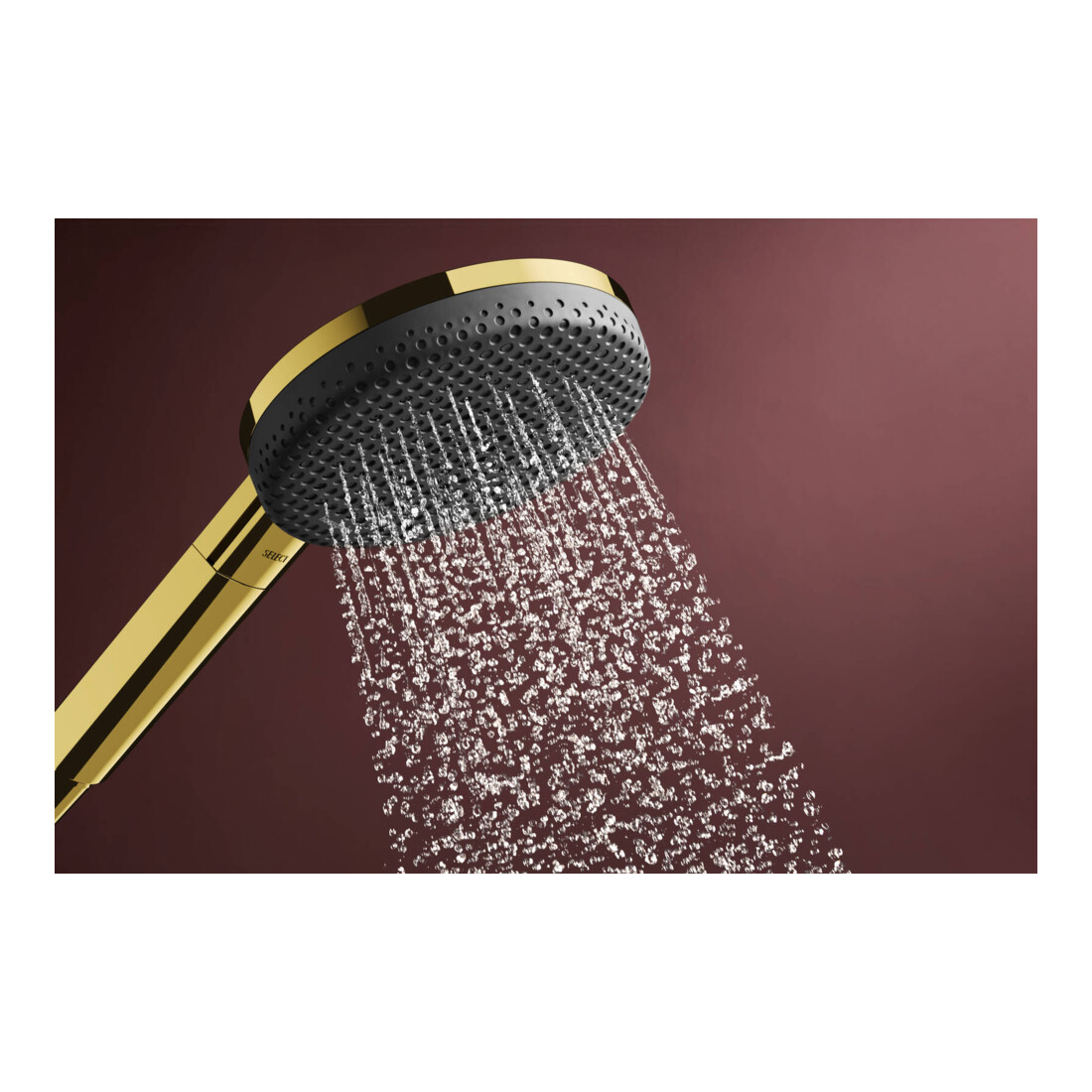 hansgrohe Handbrause Raindance Alive Sel. S 125mm Kopf, 3jet, polished gold optic