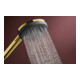 hansgrohe Handbrause Raindance Alive Sel. S 125mm Kopf, 3jet, polished gold optic
