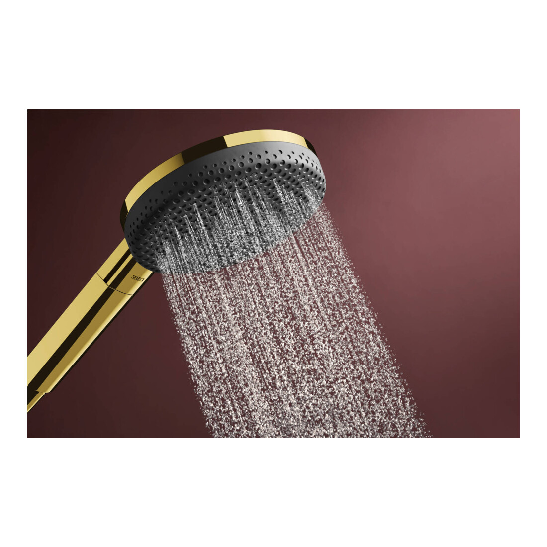 hansgrohe Handbrause Raindance Alive Sel. S 125mm Kopf, 3jet, polished gold optic