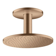 hansgrohe Kopfbrause 250 1jet Axor mit Deckenanschluss, brushed red gold