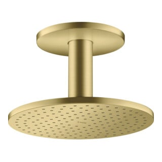 hansgrohe Kopfbrause 250 2jet Axor mit Deckenanschluss, brushed brass