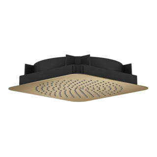 hansgrohe Kopfbrause Axor Citterio C 1j De., Mind.-Druck 1,2 b, brush. bronze