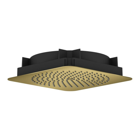 hansgrohe Kopfbrause Axor Citterio C 1j De., Mind.-Druck 1 b, pol. gold optic