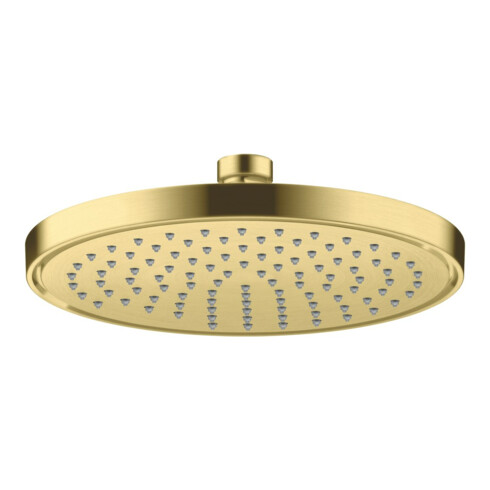 hansgrohe Kopfbrause Axor Deck.- o Wandmont., 220mm, 1j, brush. br