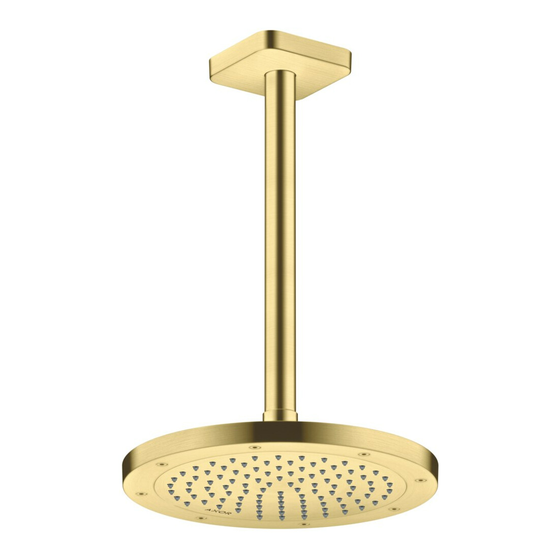 hansgrohe Kopfbrause Axor Deck.- o Wandmont., 245mm, 1j, brush. br