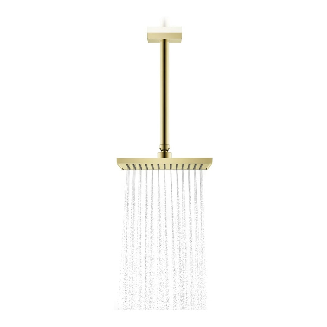 hansgrohe Kopfbrause Axor Deck.- o Wd, 245x185mm, 1j, pol. gol opt