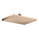 hansgrohe Kopfbrause Axor Deck.- o Wd, 245x185mm, 1j, pol. r gol-1