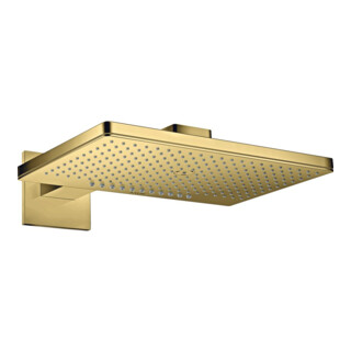 hansgrohe Kopfbrause Axor m Arm, ek Ro, 460x300mm, 2jet, po g opt