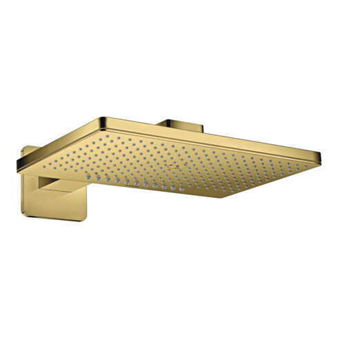 hansgrohe Kopfbrause Axor m Arm, Ro Softc, 460x300mm, 2jet, po g o