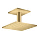 hansgrohe Kopfbrause Axor m Decke, 250x250mm, 1j, brush. gol opt-1