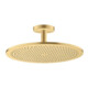 hansgrohe Kopfbrause Axor m Decke, 350mm, 1j, brush. gol opt-1