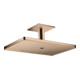 hansgrohe Kopfbrause Axor m Decke, 460x300, 3jet, pol. r gol-1