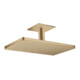hansgrohe Kopfbrause Axor m Decke, 460x300mm, 1j, brush. bron-1