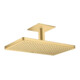 hansgrohe Kopfbrause Axor m Decke, 460x300mm, 1j, brush. gol opt-1