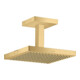 hansgrohe Kopfbrause Axor Starck m Decke, 240x240mm, 1j, brush. gol opt-1