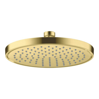 hansgrohe Kopfbrause EcoSmart Axor Deck.- o Wandmont., 220mm, 1j, brush. br