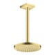 hansgrohe Kopfbrause EcoSmart Axor Deck.- o Wandmont., 220mm, 1j, brush. br-4
