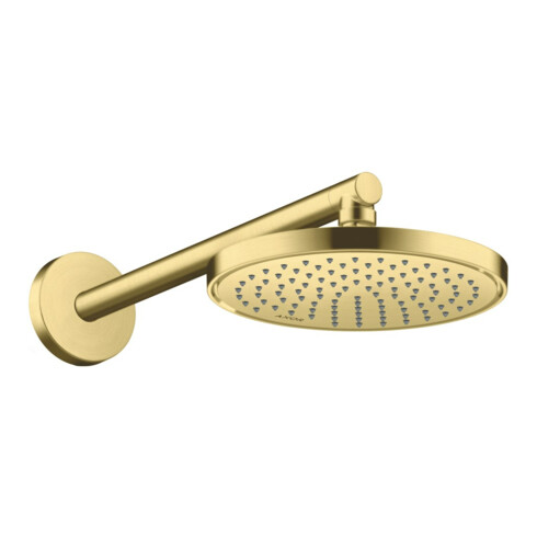 hansgrohe Kopfbrause EcoSmart Axor Deck.- o Wandmont., 220mm, 1j, brush. br