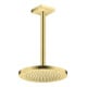 hansgrohe Kopfbrause EcoSmart Axor Deck.- o Wandmont., 245mm, 1j, brush. br-2