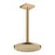 hansgrohe Kopfbrause EcoSmart Axor Deck.- o Wd, 220mm, 1j, brush. bron