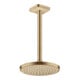 hansgrohe Kopfbrause EcoSmart Axor Deck.- o Wd, 220mm, 1j, brush. bron