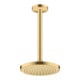 hansgrohe Kopfbrause EcoSmart Axor Deck.- o Wd, 220mm, 1j, brush. gol opt-2