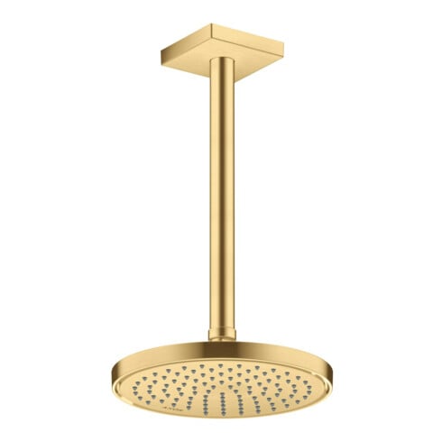 hansgrohe Kopfbrause EcoSmart Axor Deck.- o Wd, 220mm, 1j, brush. gol opt