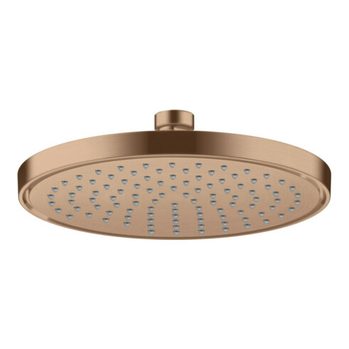 hansgrohe Kopfbrause EcoSmart Axor Deck.- o Wd, 220mm, 1j, brush. r gol