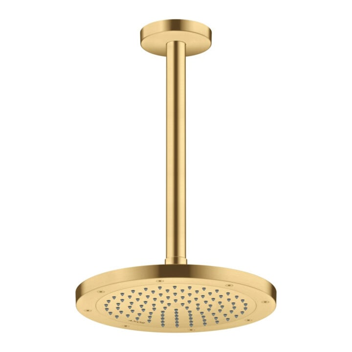 hansgrohe Kopfbrause EcoSmart Axor Deck.- o Wd, 245mm, 1j, brush. gol opt