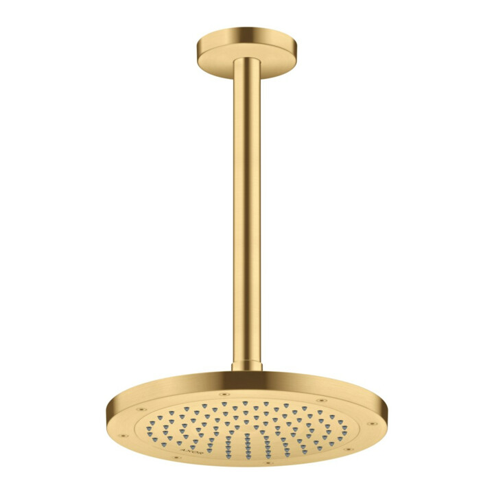 hansgrohe Kopfbrause EcoSmart Axor Deck.- o Wd, 245mm, 1j, brush. gol opt