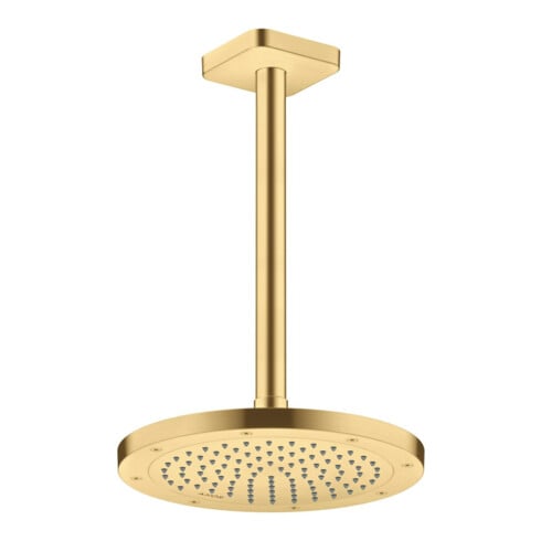 hansgrohe Kopfbrause EcoSmart Axor Deck.- o Wd, 245mm, 1j, brush. gol opt
