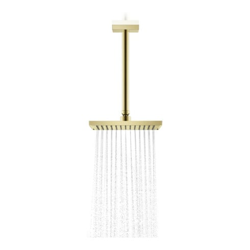 hansgrohe Kopfbrause EcoSmart Axor Deck.- o Wd, 245x185mm, 1j, pol. gol opt