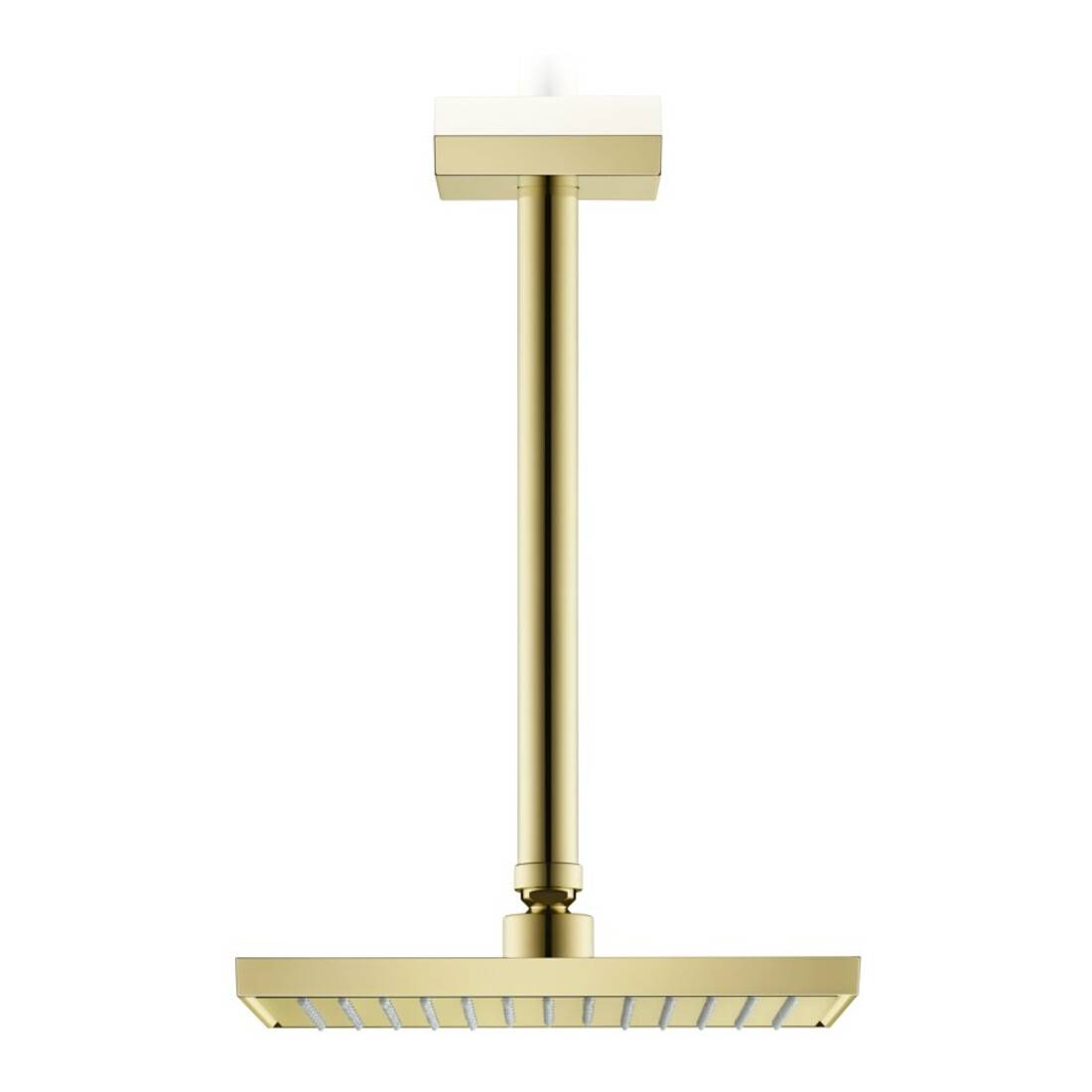 hansgrohe Kopfbrause EcoSmart Axor Deck.- o Wd, 245x185mm, 1j, pol. gol opt